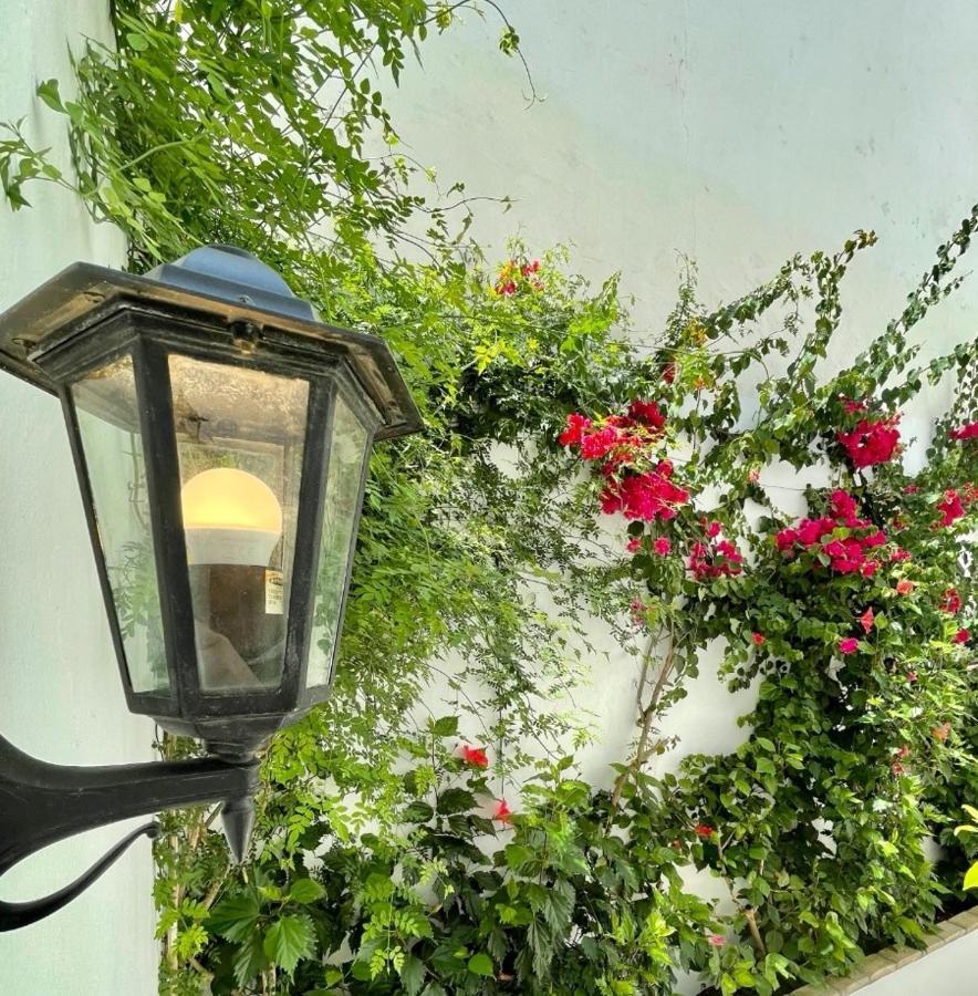 Gatu Premium Apartamento Palacio Oneto Con Jardin Privado " Preferente Mayores De 25 Anos Y Familias " El Puerto de Santa Maria Luaran gambar